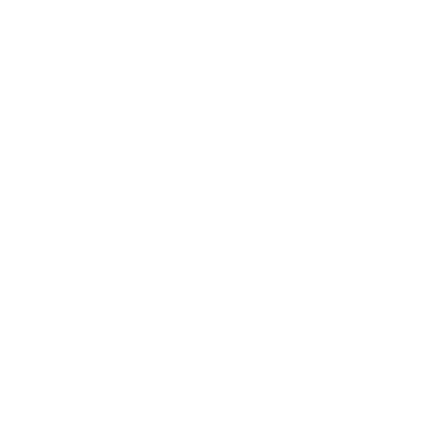 Software League Logo